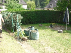 Baumsägearbeiten (13).JPG